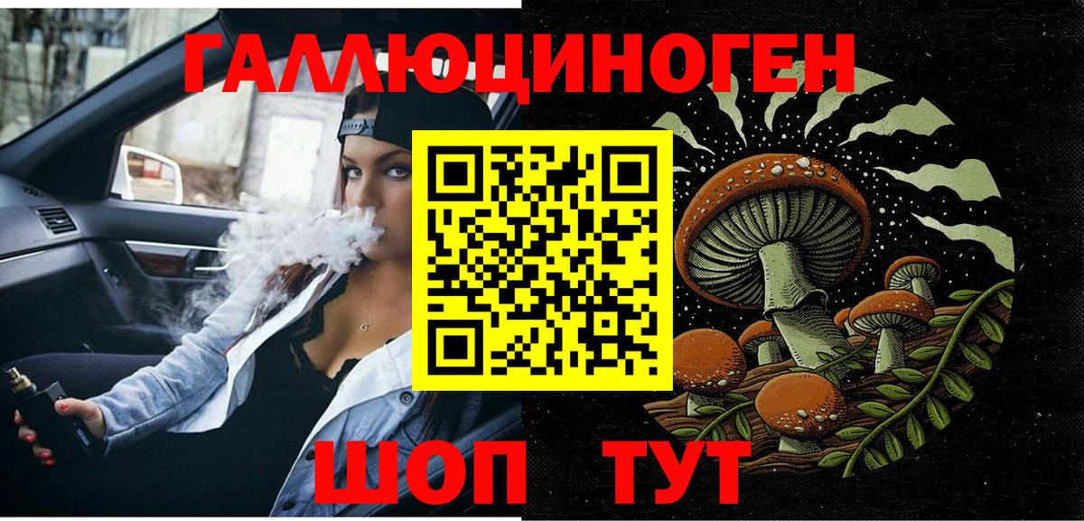 Галлюциногенные грибы Psilocybe Бугуруслан